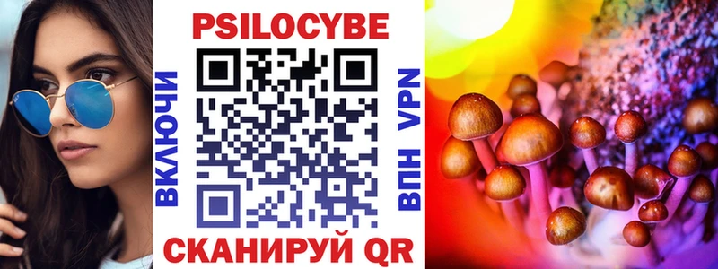 Купить  Буйнакск  Псилоцибиновые грибы мицелий 