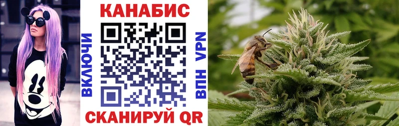 Конопля сатива  Купить  Буйнакск 